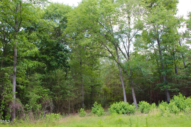 1920 Alston Chapel Rd, Pittsboro, NC 27312