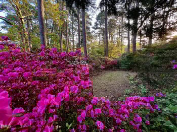 1929 Partridge Ct, Fayetteville, NC 28304