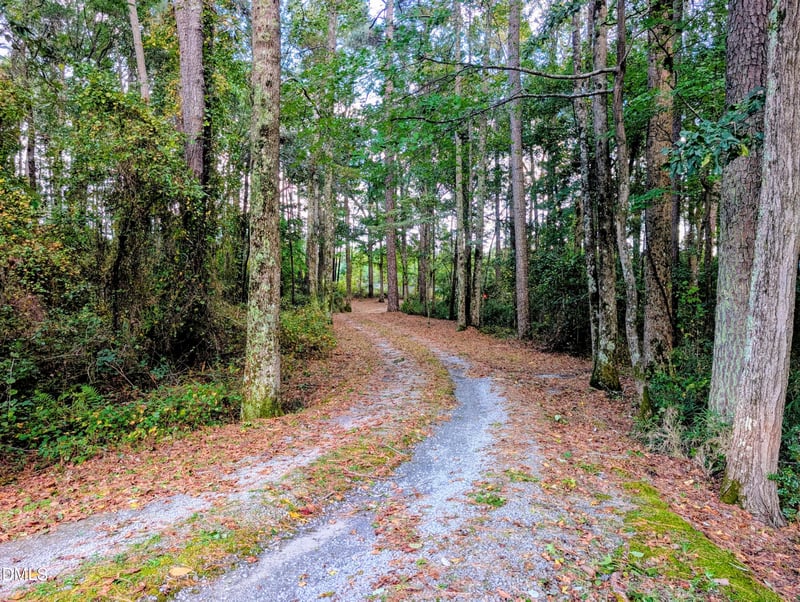 193 Camelia Rd, Benson, NC 27504