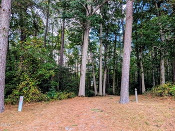 193 Camelia Rd, Benson, NC 27504