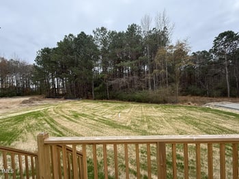 193 Magnolia Run Way, Benson, NC 27504