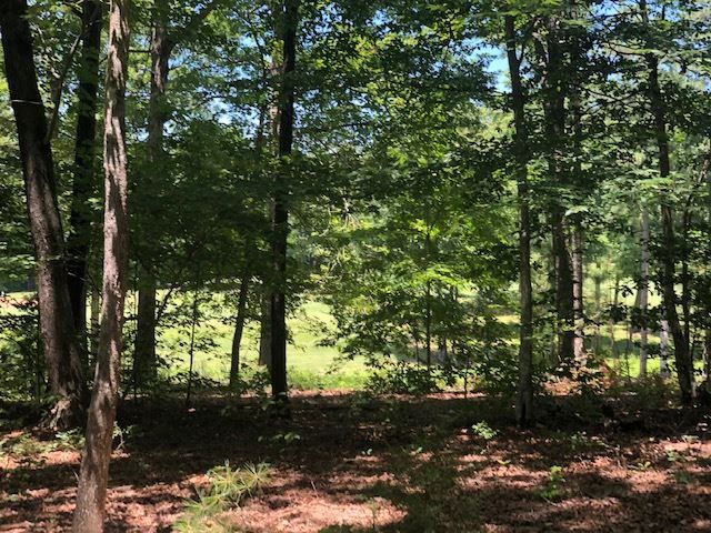 194 Black Cloud Dr, Louisburg, NC 27549