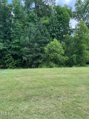 194 River Dell Townes Ave, Clayton, NC 27527