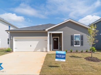 194 Thistle Patch Pl, Angier, NC 27501