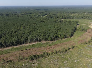 1941 Walter Bright Rd Lot 18425, 18428, 68452, Sanford, NC 27330