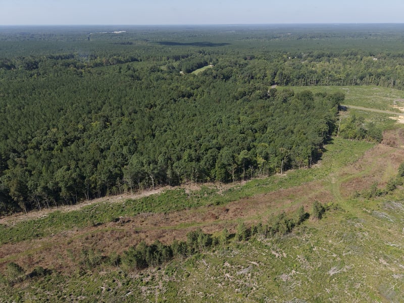 1941 Walter Bright Rd Lot 18425, 18428, 68452, Sanford, NC 27330