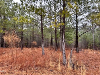 195 Appleton Way, Sanford, NC 27332