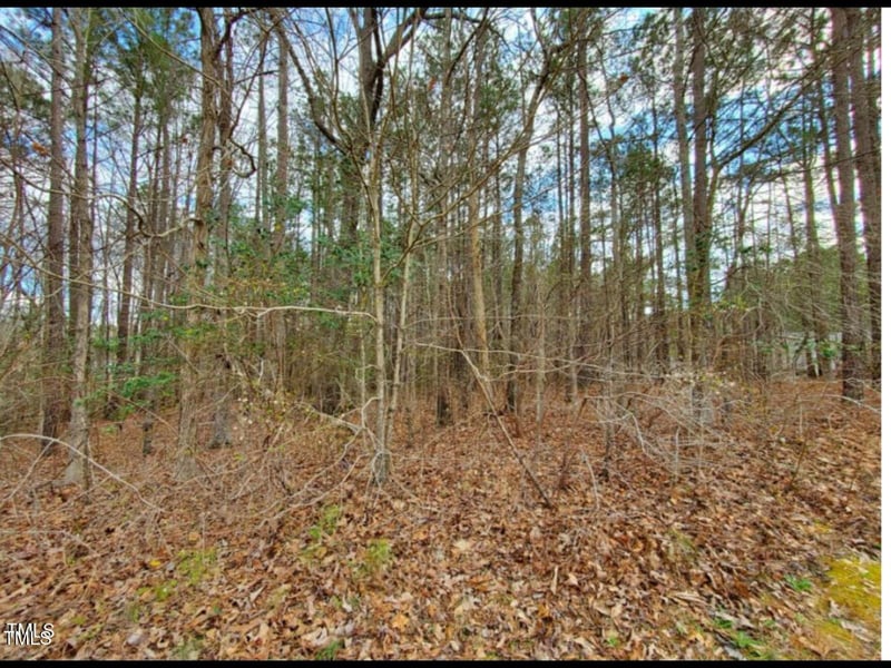 195 Owl Dr, Youngsville, NC 27596