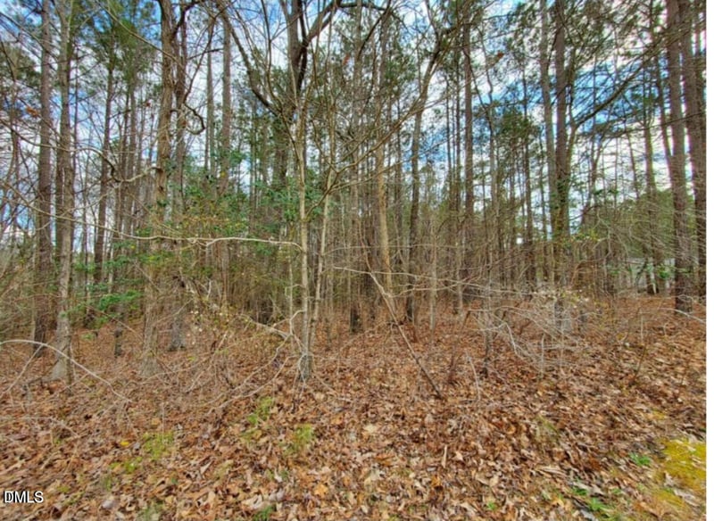 195 Owl Dr, Youngsville, NC 27596