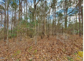 195 Owl Dr, Youngsville, NC 27596