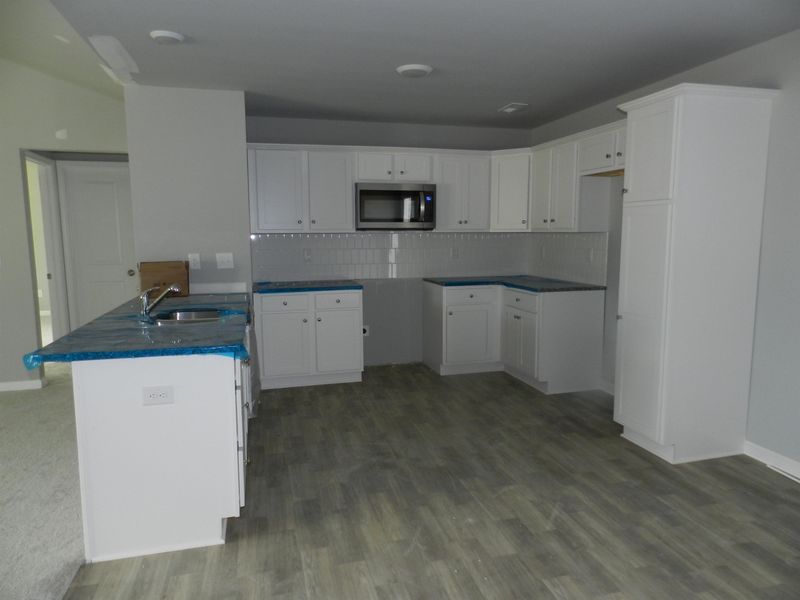 196 Beaver Tavern Dr, Benson, NC 27504
