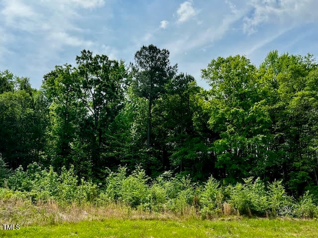 196 Cozy Brook Ct, Clayton, NC 27520