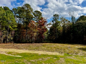 196 Cozy Brook Ct, Clayton, NC 27520