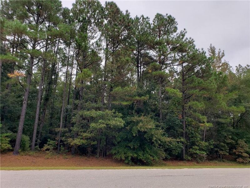 196 Raynor Sands Dr, Dunn, NC 28334