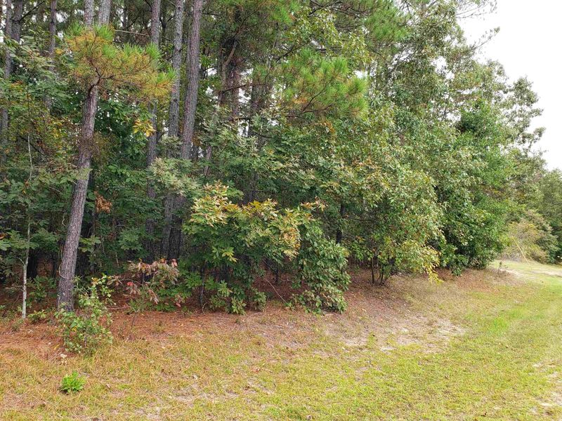 196 Raynor Sands Dr Lot 22, Dunn, NC 28334