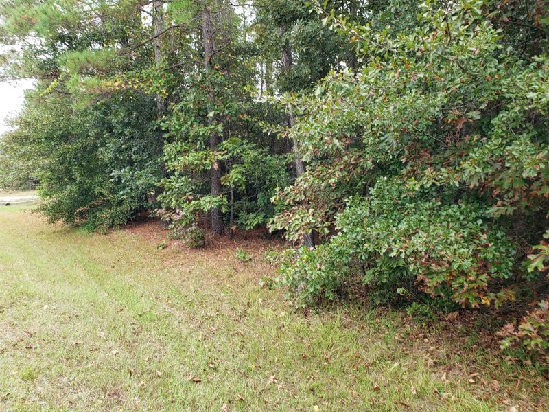 196 Raynor Sands Dr Lot 22, Dunn, NC 28334