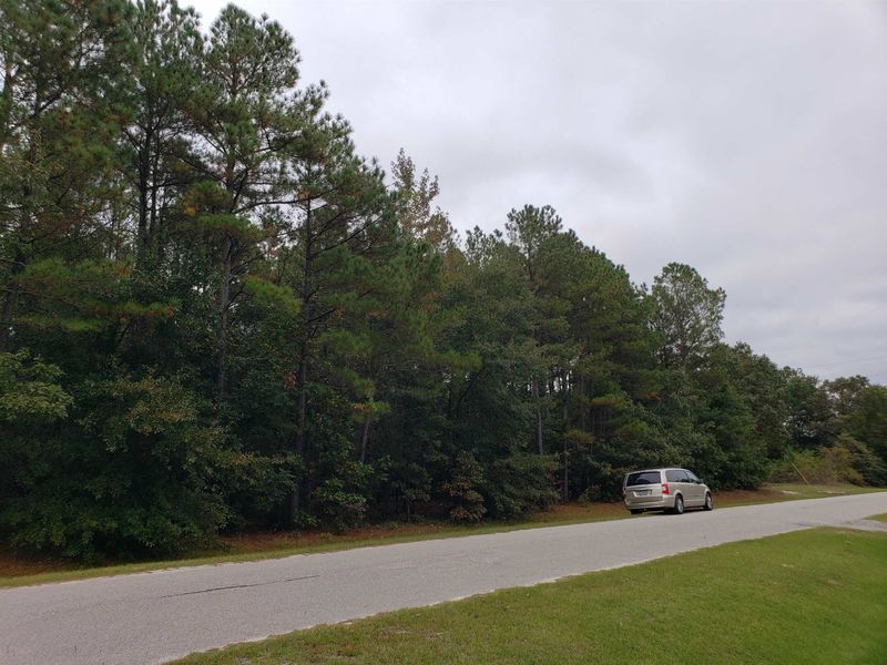 196 Raynor Sands Dr Lot 22, Dunn, NC 28334