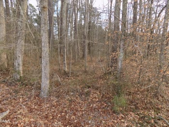 196 Trinity Church Rd, Louisburg, NC 27549