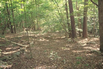 197 Oak Hill Rd, Pittsboro, NC 27312