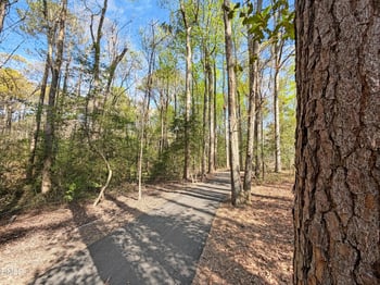 198 Eagle Rock Dr, Lillington, NC 27546