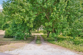 198 Pope Lake Rd, Angier, NC 27501