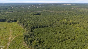 1d Ponderosa Rd, Cameron, NC 28326