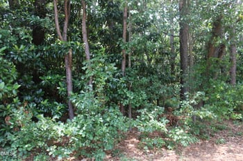 20 Grant Dr Lot 20, Goldsboro, NC 27534