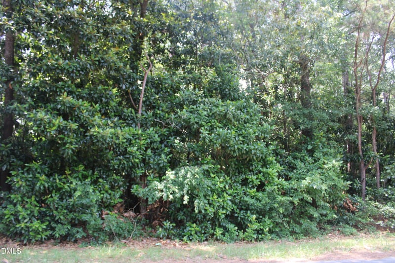 20 Grant Dr Lot 20, Goldsboro, NC 27534