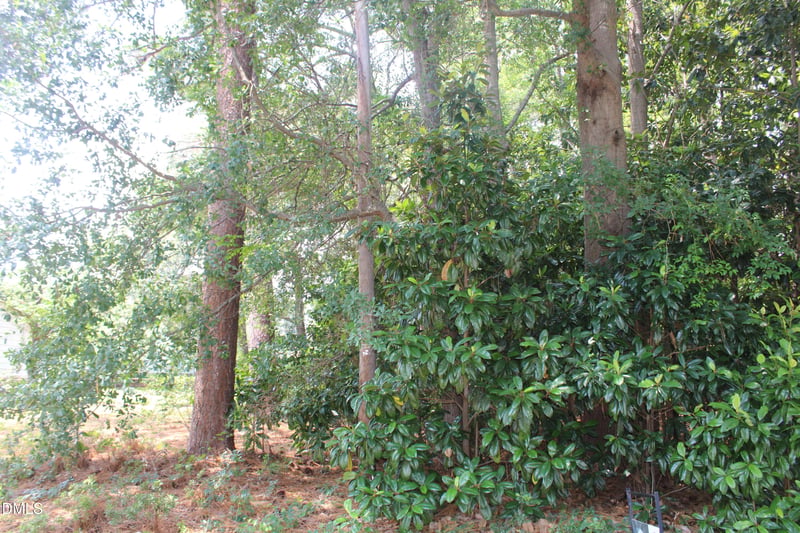 20 Grant Dr Lot 20, Goldsboro, NC 27534