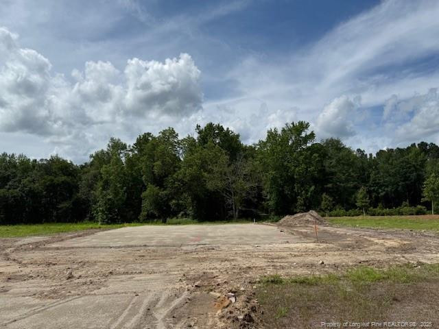 20 Gray Pine Way, Sanford, NC 27332