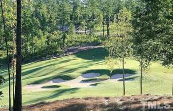 20 Lookout Rg, Pittsboro, NC 27312