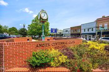 20 Mendenhall Dr, Angier, NC 27501