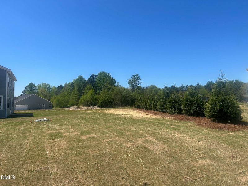 20 Mendenhall Dr, Angier, NC 27501