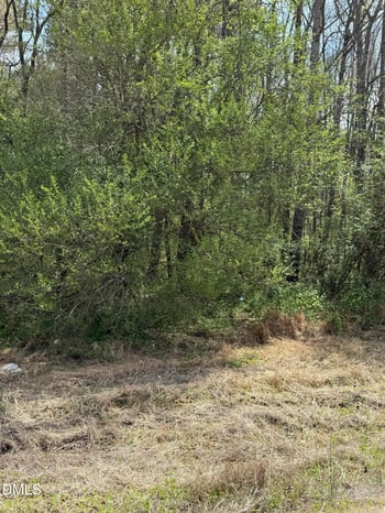 20 Sutton Rd, Louisburg, NC 27549