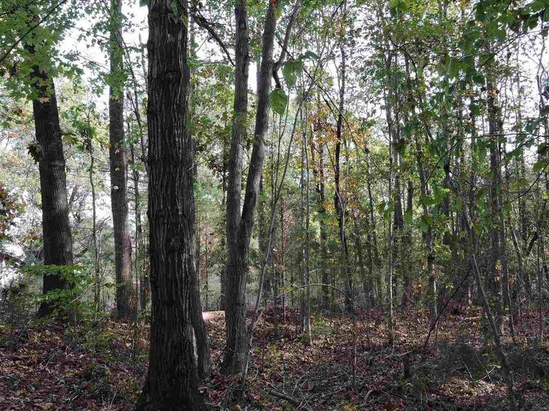 20.6 Acres Parham Rd Lot D, Roxboro, NC 27574
