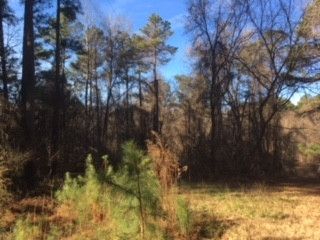 200 Cedar Ln, Pittsboro, NC 27312