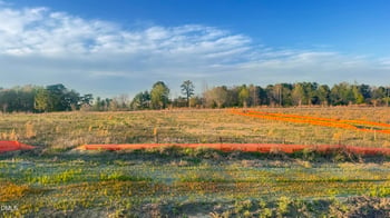 200 Galway Rd, Lillington, NC 27546