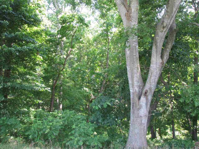 2000 Pete Thomas Rd Lot tract 2, Pittsboro, NC 27312
