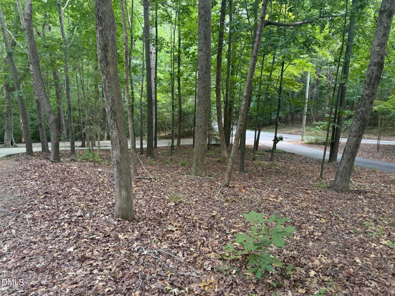2001 Dove Ln, Clayton, NC 27527