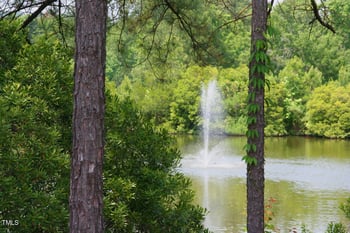 20011 Roark Hoey Loop, Chapel Hill, NC 27517