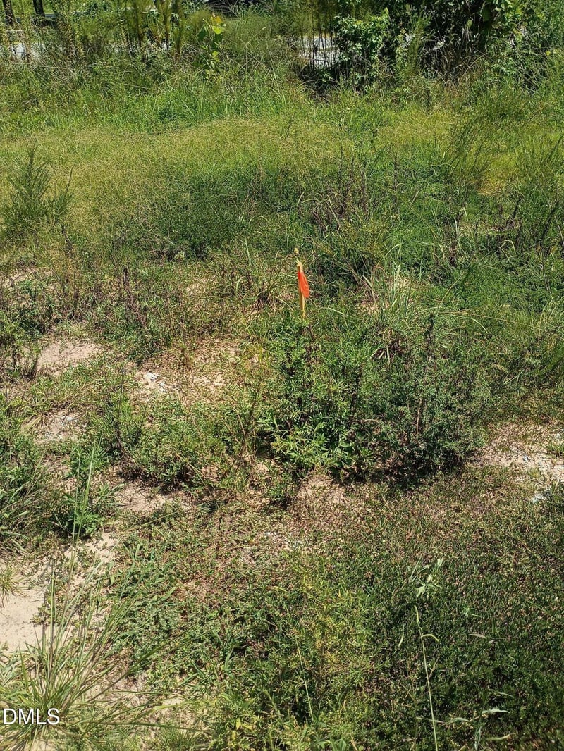2002 D Riddle Rd Lot D, Durham, NC 27707