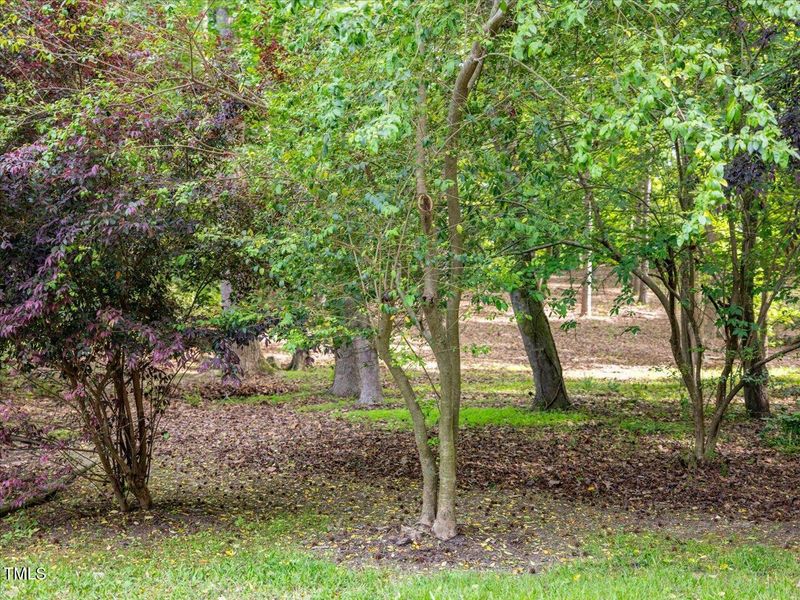 201 N Elliott Rd Lot --, Chapel Hill, NC 27514