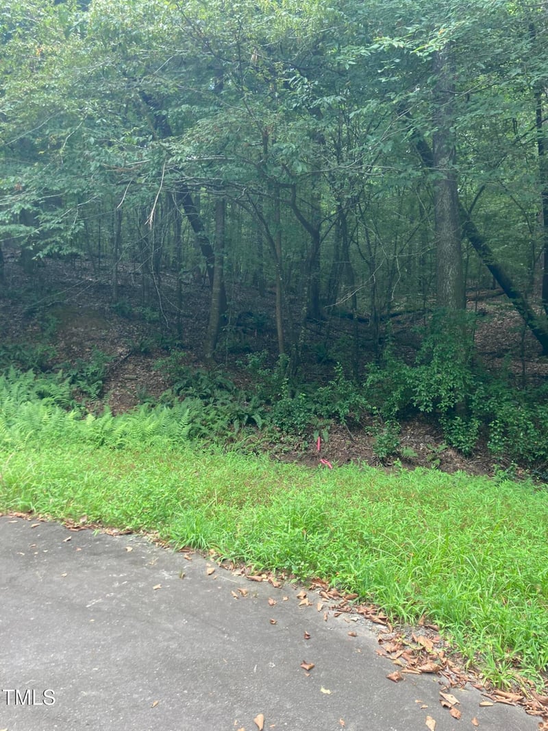 201 Lake Ct Lot 22, Chapel Hill, NC 27516