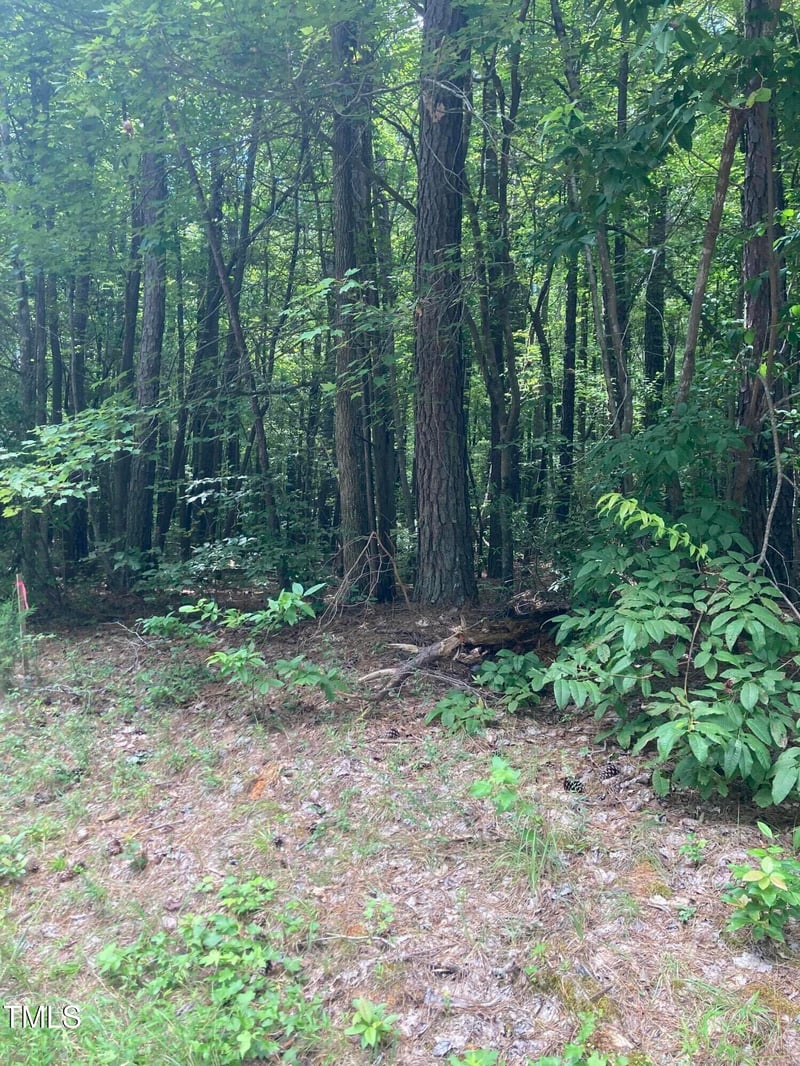 201 Lake Ct Lot 22, Chapel Hill, NC 27516