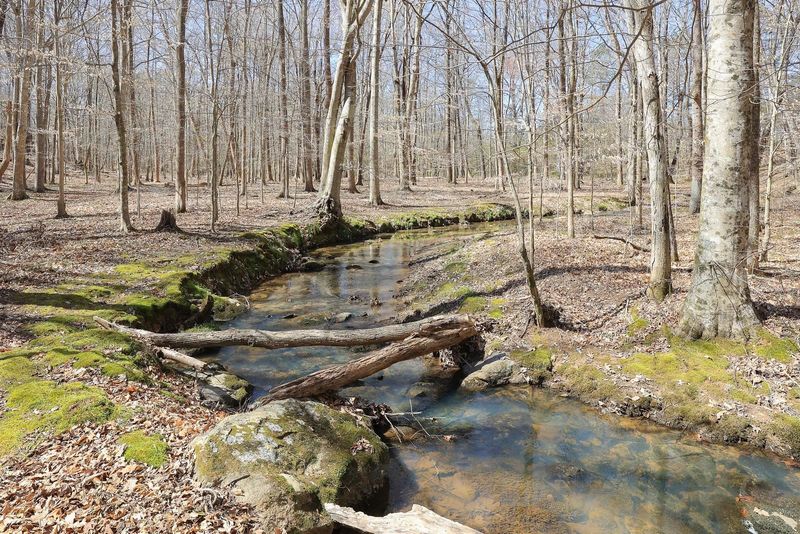 2011 Dimmocks Mill Rd, Hillsborough, NC 27278