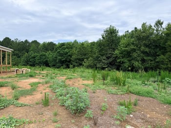 202 Batten Pond Rd, Selma, NC 27576