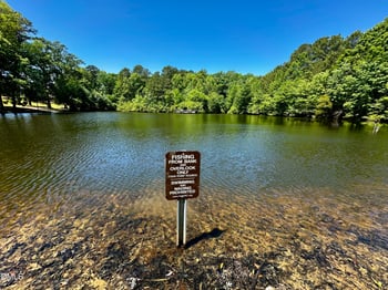 202 Briarfield Dr, Apex, NC 27502