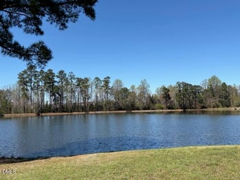 202 Mabry Rd, Angier, NC 27501