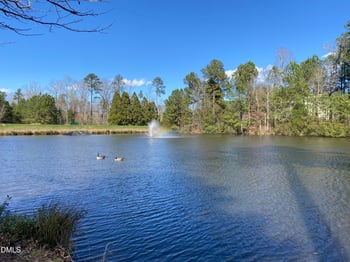 202 Millicent Way, Morrisville, NC 27560