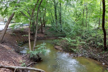 202 Oak Hollow Ct, Raleigh, NC 27613